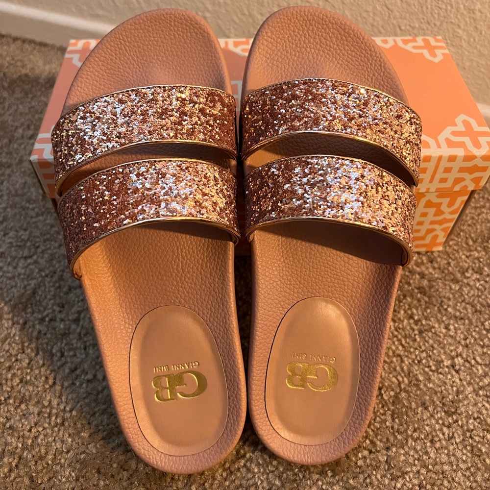 Gianni Bini Slides